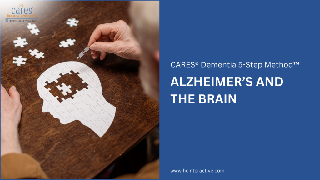 Understanding Alzheimer’s