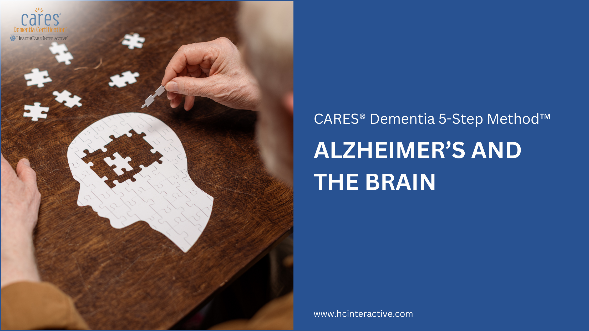 Understanding Dementia and Alzheimer’s Disease